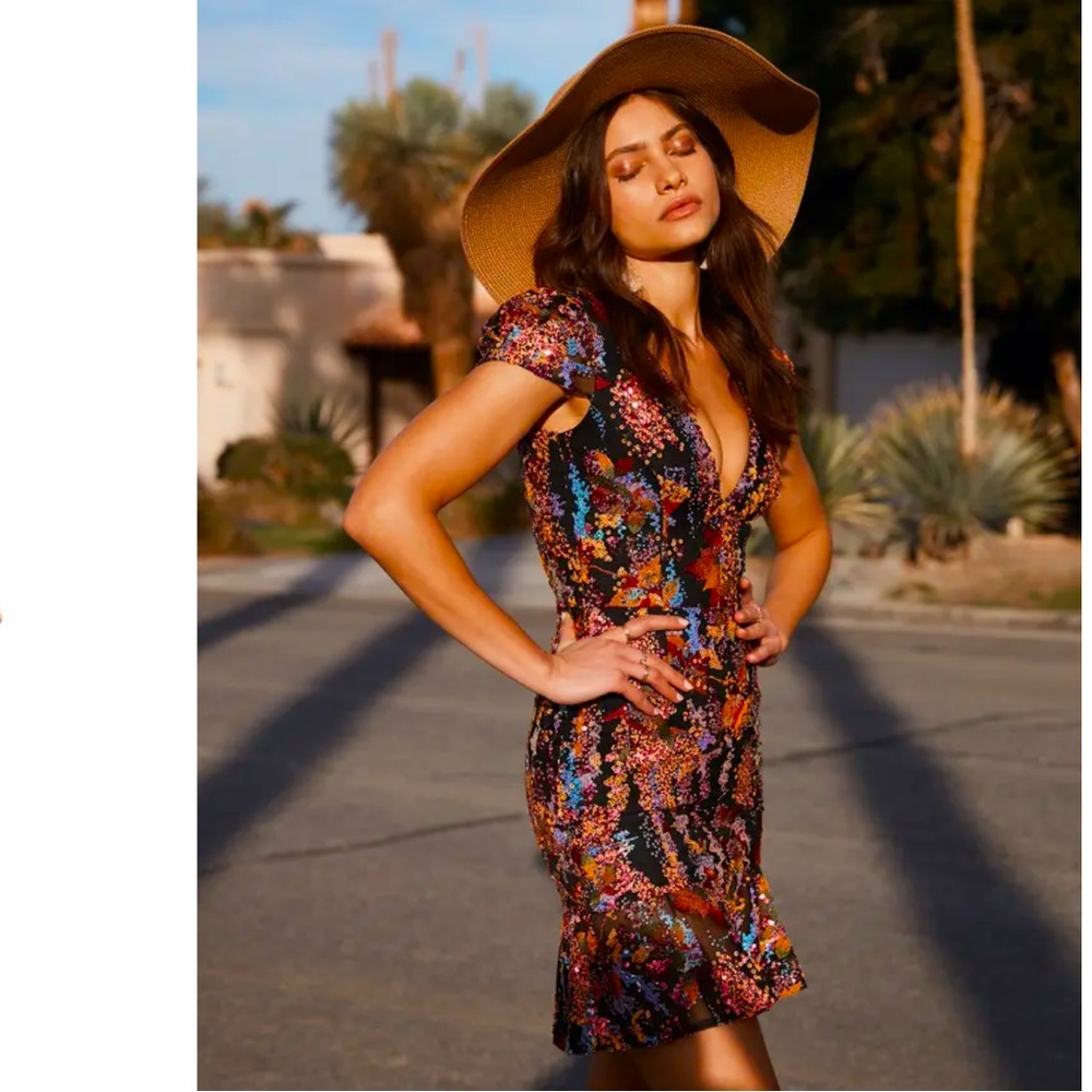 Dress the Population Black “Papaya” Sequin Dress